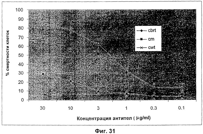 Конструкции слияния и их применение для получения антител с повышенными аффинностью связывания fc-рецептора и эффекторной функцией (патент 2407796)