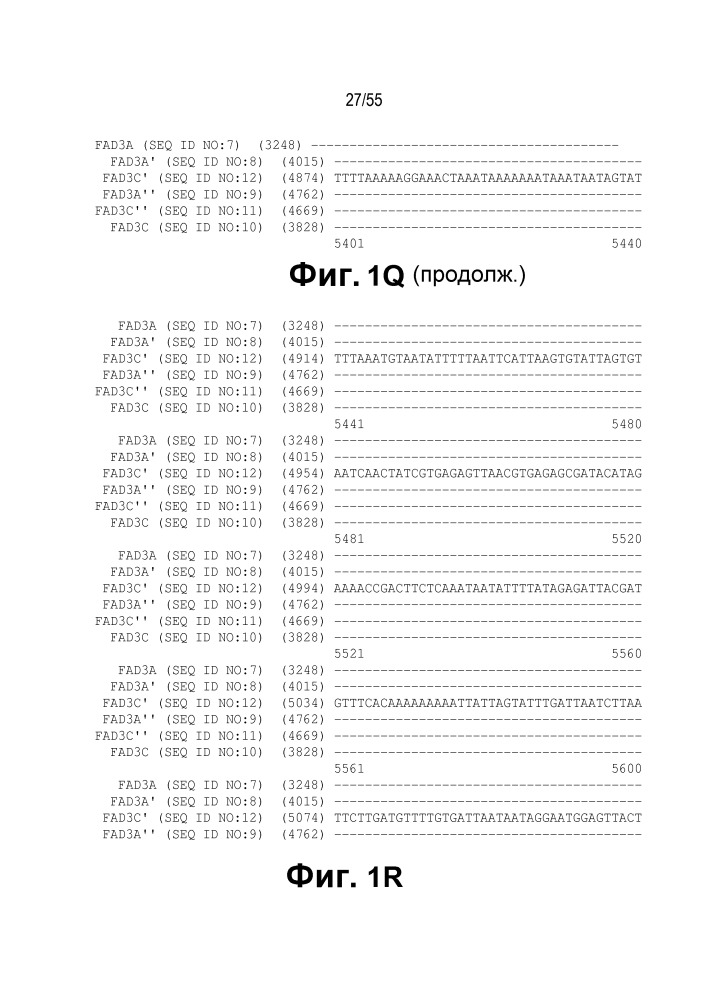 Локусы fad3 для выполнения операций и соответствующие связывающиеся со специфическими сайтами-мишенями белки, способные к вызову направленных разрывов (патент 2665811)