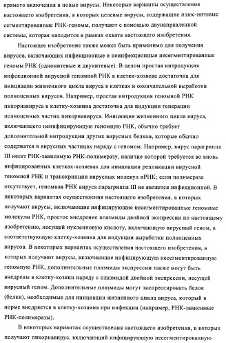 Способы и композиции для экспрессии антисмысловой вирусной рнк в клетках собаки (патент 2457250)