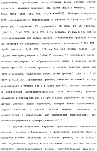 Поликлональное антитело против nogo, фармацевтическая композиция и применение антитела для изготовления лекарственного средства (патент 2432364)