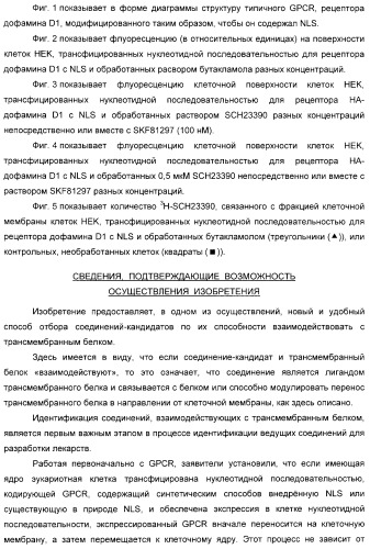 Способ идентификации соединений, взаимодействующих с трансмембранными белками (патент 2326166)
