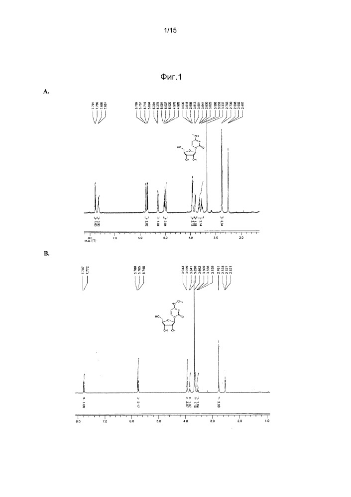 Модифицированные нуклеозиды, нуклеотиды и нуклеиновые кислоты и их применение (патент 2648950)