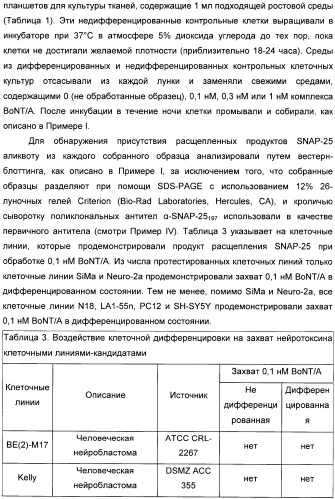 Иммунологические анализы активности ботулинического токсина серотипа а (патент 2491293)