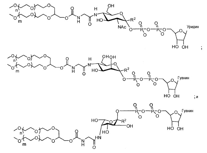 Глицерин-связанные пэгилированные сахара и гликопептиды (патент 2460543)
