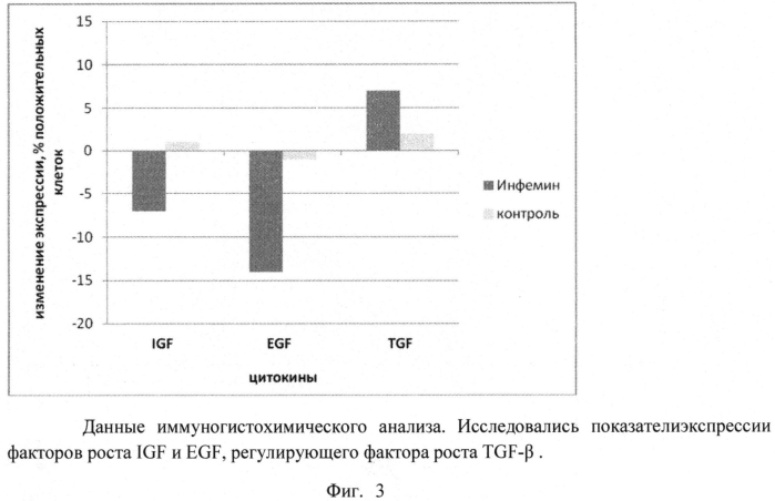 Способ лечения простатической интраэпителиальной неоплазии (пин) (патент 2564438)