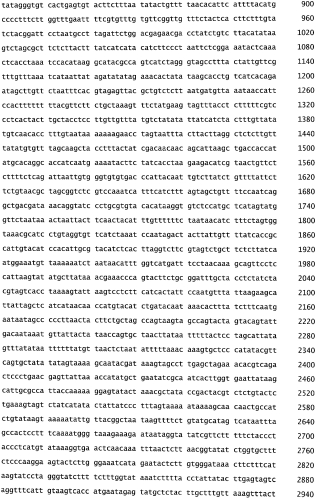 Бактериофаг, обладающий активностью против pseudomonas aeruginosa, белки бактериофага и способы их применения (патент 2580248)