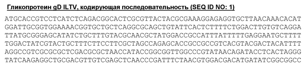 Конструкции рекомбинантного непатогенного вируса болезни марека, кодирующие антигены вируса инфекционного ларинготрахеита и вируса болезни ньюкасла (патент 2624037)