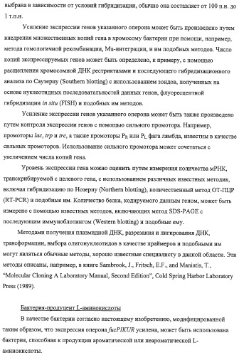 Способ получения l-треонина с использованием бактерии, принадлежащей к роду escherichia, обладающей усиленной экспрессией оперона fucpikur (патент 2318870)