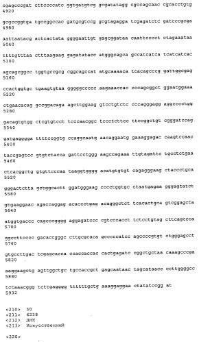 Антитела к рецептору конечных продуктов глубокого гликирования (rage) и их применения (патент 2518351)