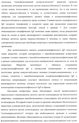 Биологический микрочип для множественного параллельного иммунологического анализа соединений и способы иммуноанализа, в которых он используется (патент 2363955)