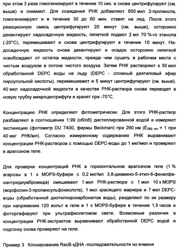 Новые последовательности нуклеиновых кислот и их применение в способах достижения устойчивости к патогенам в растениях (патент 2346985)