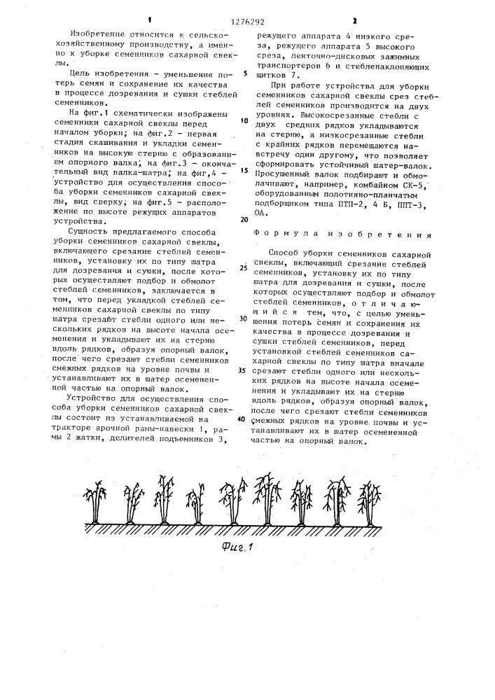 Способ уборки семенников сахарной свеклы (патент 1276292)