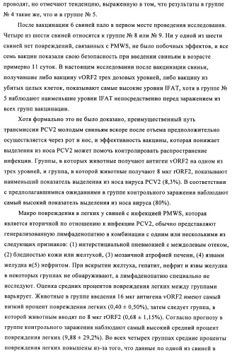 Поливалентные иммуногенные композиции pcv2 и способы получения таких композиций (патент 2488407)