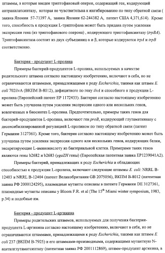 Способ получения l-аминокислот с использованием бактерии, принадлежащей к роду escherichia, в которой разрушен путь биосинтеза гликогена (патент 2315809)