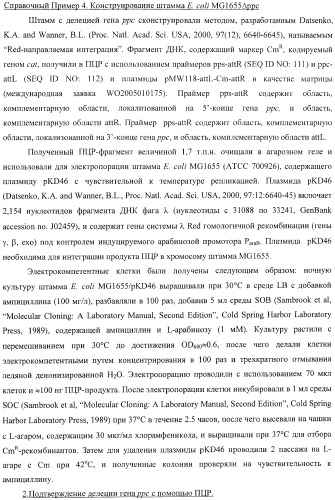 Бактерия, принадлежащая к роду pantoea, - продуцент l-аспартата или метаболита, являющегося производным l-аспартата, и способ получения l-аспартата или метаболита, являющегося производным l-аспартата (патент 2411289)