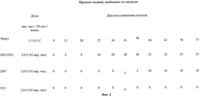 Процесс получения поксвирусов и композиции поксвирусов (патент 2489486)
