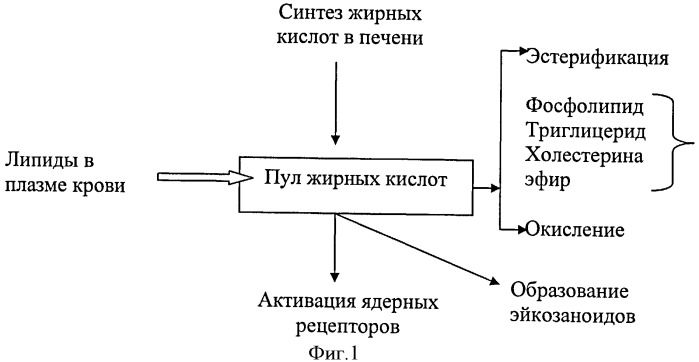 Производные докозагексаеновой кислоты и их применение в качестве лекарственных средств (патент 2441061)