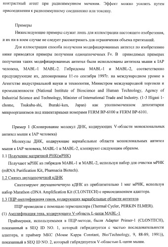 Днк, кодирующая модифицированное антитело или соединение с активностью агониста тро, способ их получения и животная клетка или микроорганизм, их продуцирующие (патент 2422528)