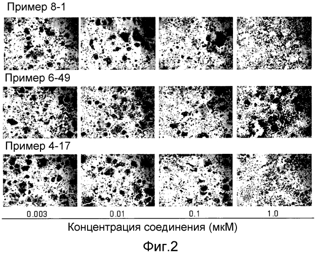 Новое производное никотинамида или его соль (патент 2560163)