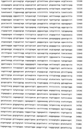 Бактериофаг, обладающий активностью против pseudomonas aeruginosa, белки бактериофага и способы их применения (патент 2580248)