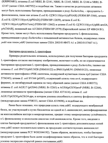 Мутантная iib/iic субъединица глюкозоспецифической пермеазы системы pts, фрагмент днк, бактерия, принадлежащая к роду escherichia, - продуцент l-треонина и способ получения l-треонина (патент 2335536)