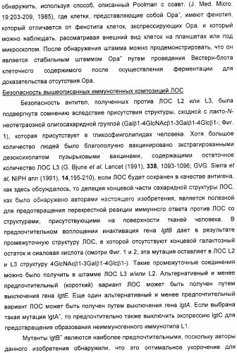 Вакцинные композиции, содержащие липополисахариды иммунотипа l2 и/или l3, происходящие из штамма neisseria meningitidis igtb- (патент 2364418)