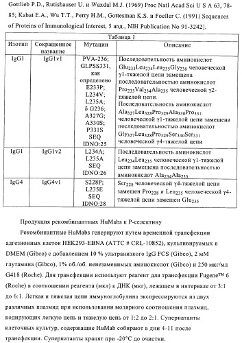 Антитела к р-селектину (патент 2368622)