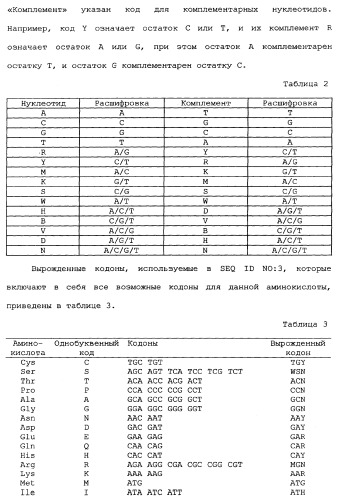 Новый лиганд рецептора цитокина zcytor17 (патент 2360923)