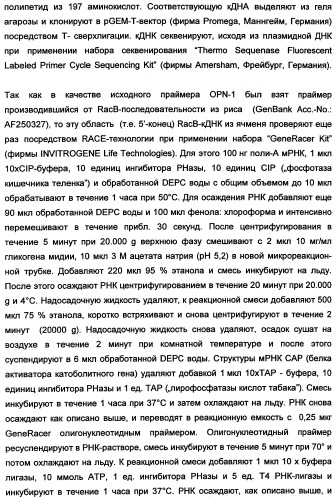 Новые последовательности нуклеиновых кислот и их применение в способах достижения устойчивости к патогенам в растениях (патент 2346985)