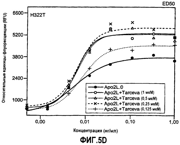Комбинация apo2l/trail и ингибитора egfr для лечения рака, способ in vitro усиления апоптоза и применение комбинации для получения лекарственного средства для лечения рака (патент 2429006)
