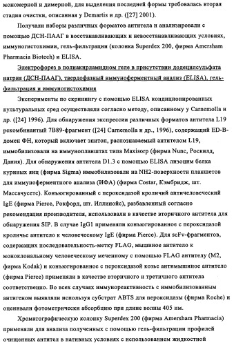 Избирательный направленный перенос в сосудистую сеть опухоли с использованием молекул антител (патент 2347787)