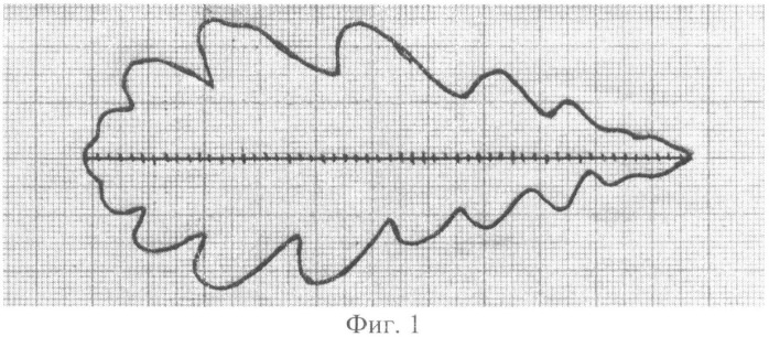 Способ измерения формы листьев у древесных растений (патент 2477039)