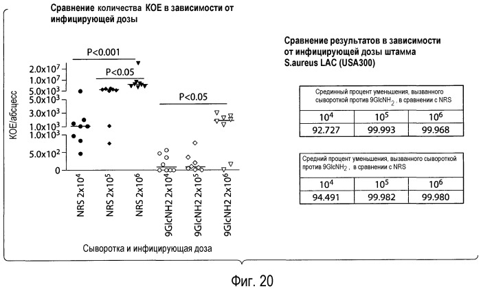 Способы и композиции, относящиеся к синтетическим бета-1,6-глюкозаминолигосахаридам (патент 2532911)