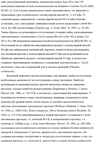 Модифицированные токсины cry3a и кодирующие их нуклеотидные последовательности (патент 2314345)