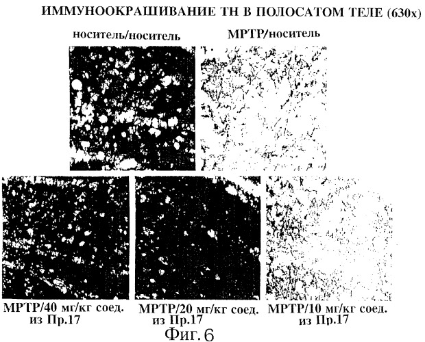 Ингибиторы ферментативной активности ротамазы, являющиеся малыми молекулами (патент 2269514)