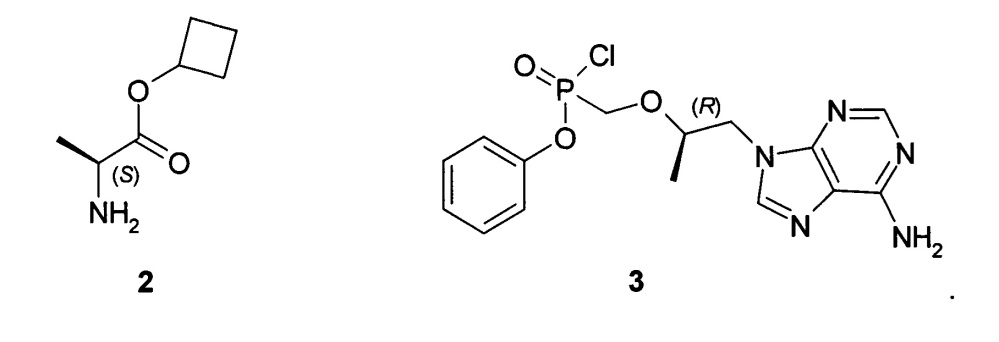 Циклобутил (s)-2-[[[(r)-2-(6-аминопурин-9-ил)-1-метил-этокси]метил-фенокси-фосфорил]амино]-пропаноаты, способ их получения и применения (патент 2647576)