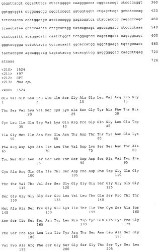 Pscaxcd3, cd19xcd3, c-metxcd3, эндосиалинxcd3, epcamxcd3, igf-1rxcd3 или fap-альфаxcd3 биспецифическое одноцепочечное антитело с межвидовой специфичностью (патент 2547600)