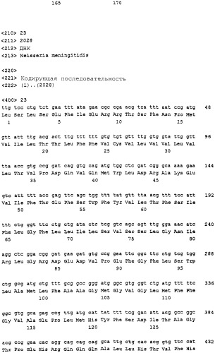 Пептид neisseria meningitidis для терапевтического и диагностического применения (патент 2313535)