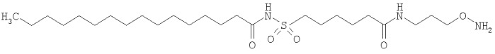 Способ конъюгации пептидов, опосредованной трансглутаминазой (патент 2385879)