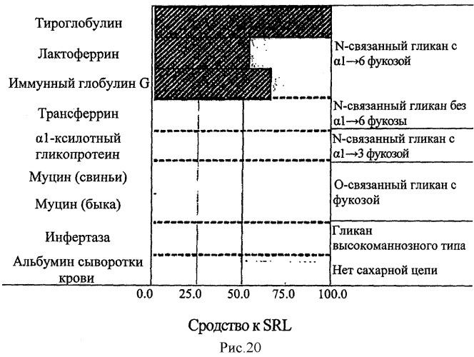 L-фукоза α1→6 специфичный лектин (патент 2524425)