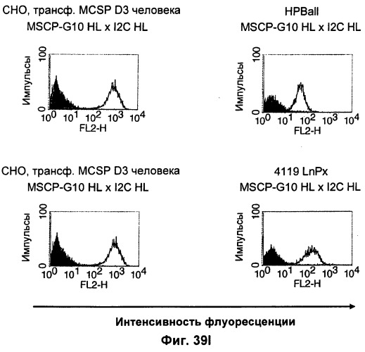 Pscaxcd3, cd19xcd3, c-metxcd3, эндосиалинxcd3, epcamxcd3, igf-1rxcd3 или fap-альфаxcd3 биспецифическое одноцепочечное антитело с межвидовой специфичностью (патент 2547600)