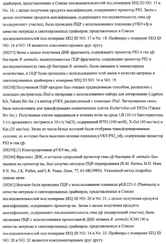 Использование фосфокетолазы для продукции полезных метаболитов (патент 2322496)