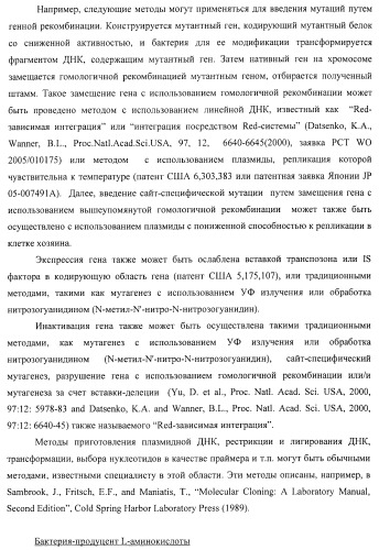 Способ получения l-треонина или l-аргинина с использованием бактерии, принадлежащей к роду escherichia, в которой инактивирован ген chac или оперон chabc (патент 2392327)