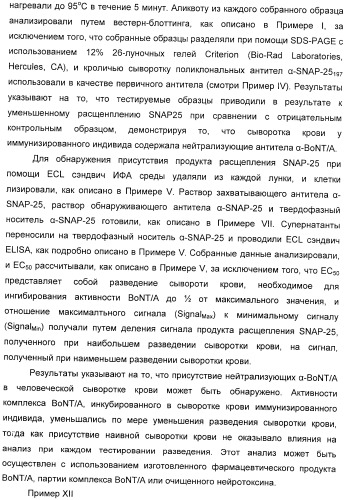 Иммунологические анализы активности ботулинического токсина серотипа а (патент 2491293)