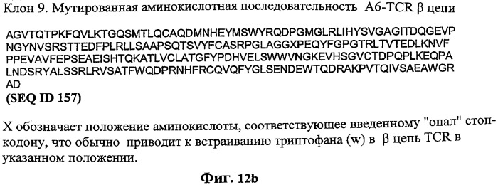 Экспонирование т-клеточных рецепторов (патент 2346004)