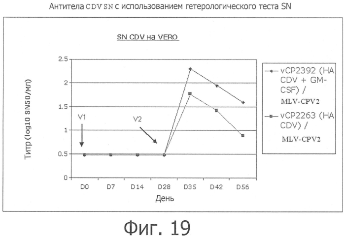 Композиции рекомбинантного cdv и ее применение (патент 2567337)