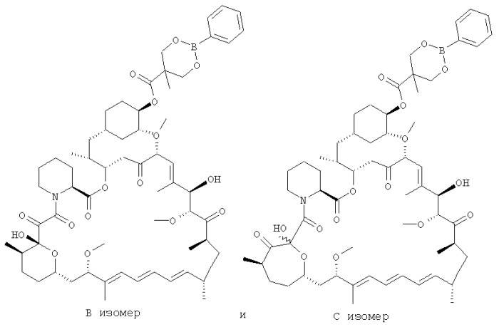 Региоселективный синтез cci-779 (патент 2339639)