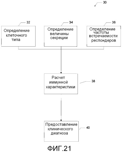 Способ диагностики аллергических реакций (патент 2536291)