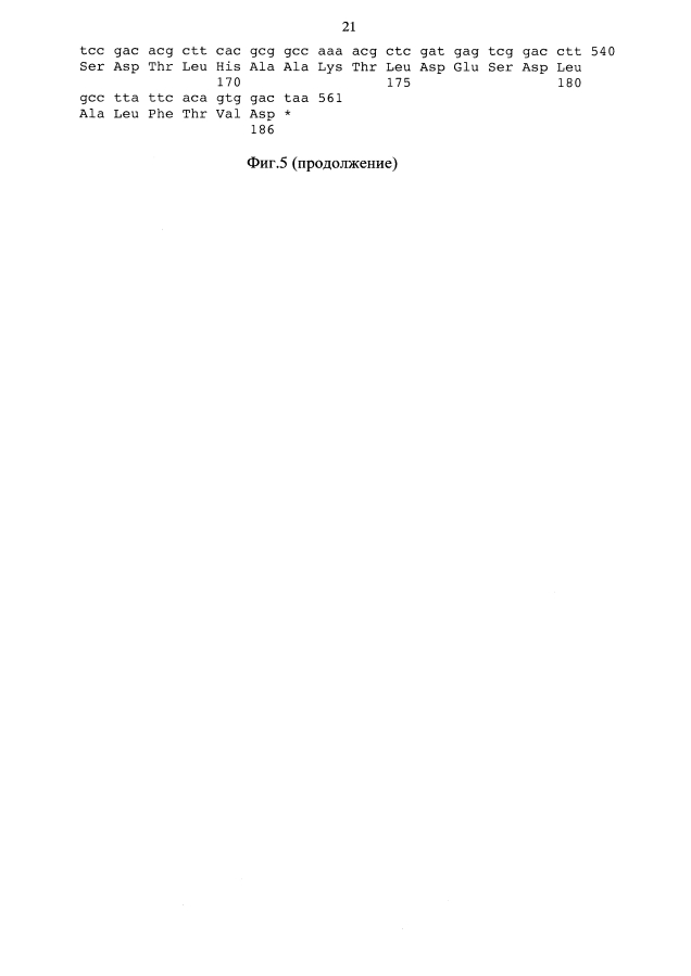 Рекомбинантный штамм бактерий escherichia coli n106 (pm.agsi) - продуцент днк-метилтрансферазы m.agsi (патент 2593368)