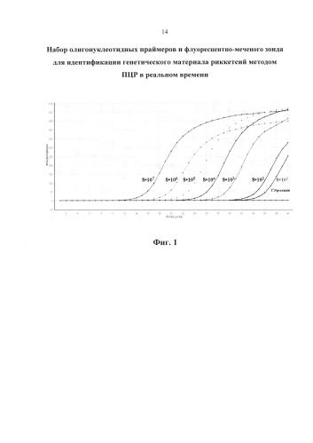 Набор олигонуклеотидных праймеров и флуоресцентно-меченого зонда для идентификации генетического материала риккетсий методом пцр в реальном времени (патент 2581952)